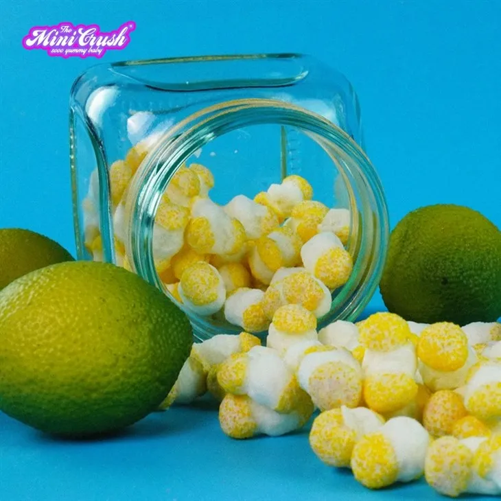 Freeze Dried Sweet Lemon Crush suppliers