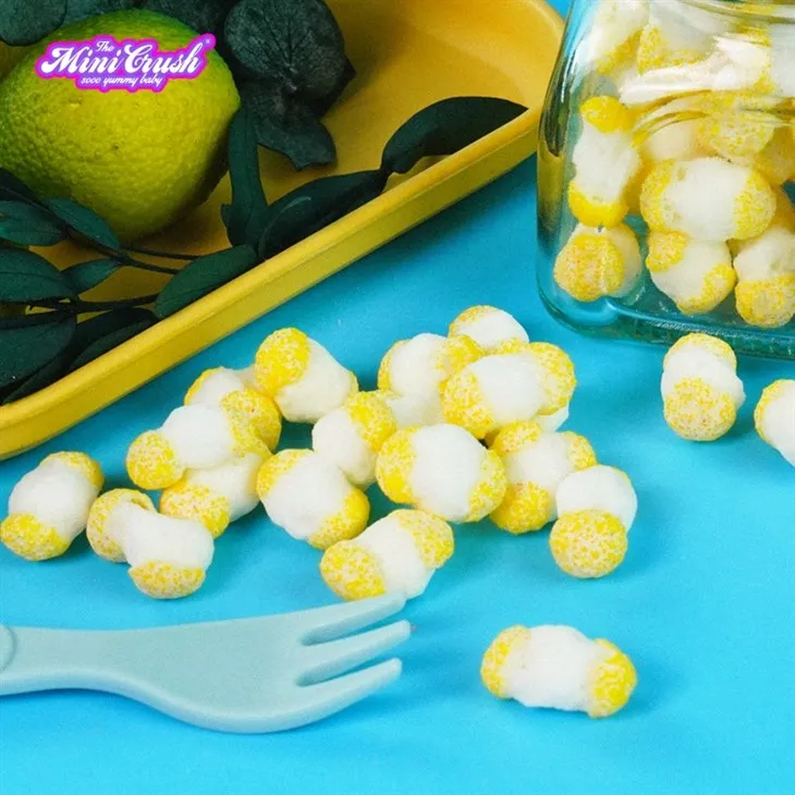 Freeze Dried Sweet Lemon Crush factory